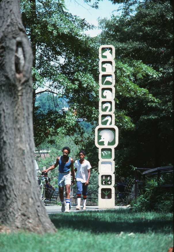 Children looking up at a totem