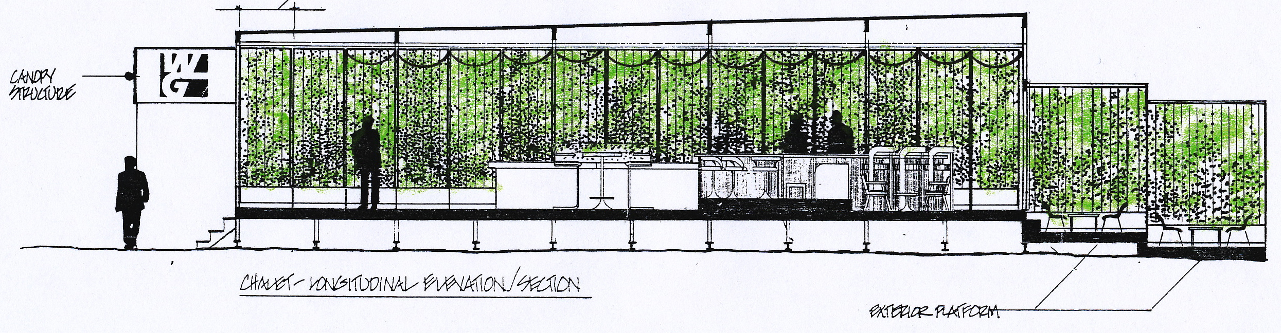 Large sketch of ivy wall inside 1985 chalet.